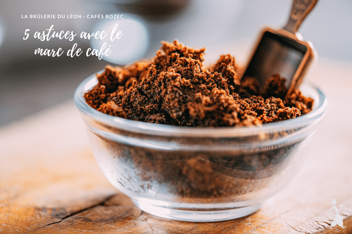 5 astuces avec le marc de café